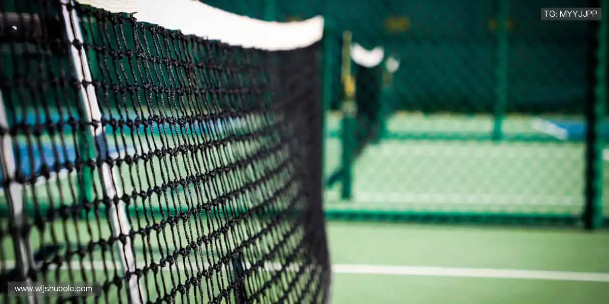 🚀一键直击，精彩永不缺席！🏉